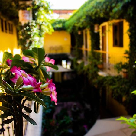 Hotel Dainzu オアハカ州 エクステリア 写真